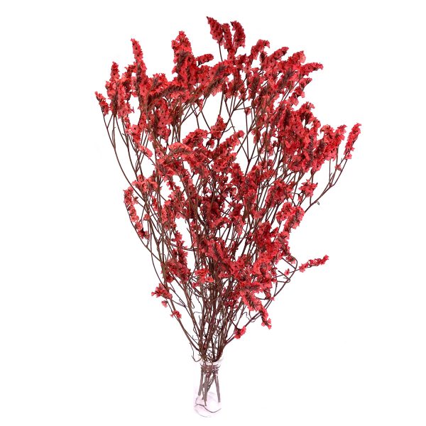紅色水晶草乾花花束