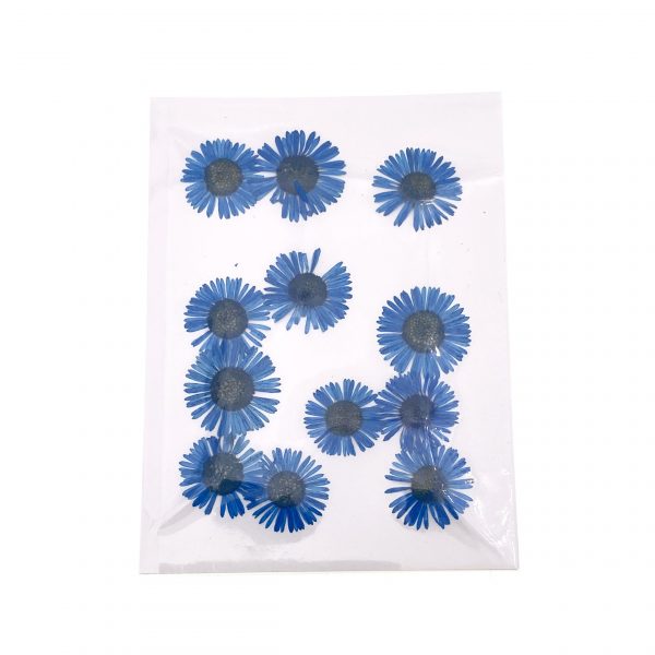 深藍針菊乾花押花