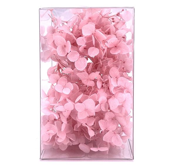 繡球花保鮮花-淺粉紅
