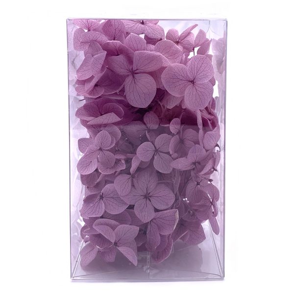 繡球花保鮮花-香芋紫