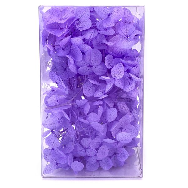 繡球花保鮮花-紫色