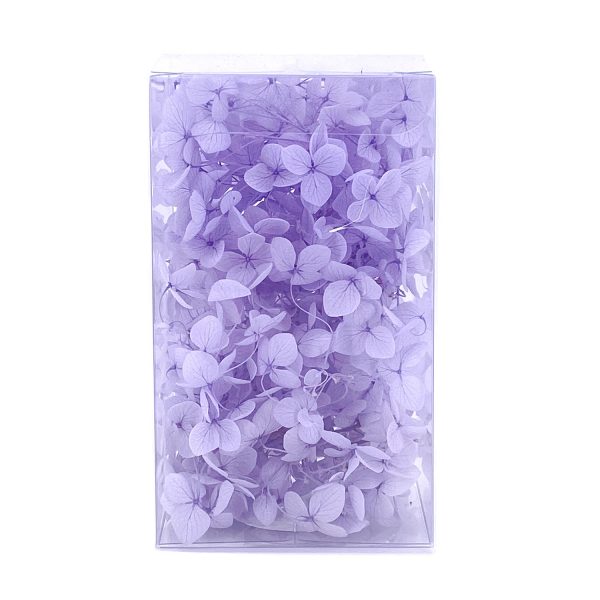 繡球花保鮮花-淺紫藍