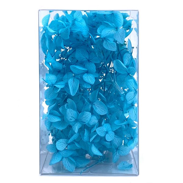 繡球花保鮮花-湖水藍