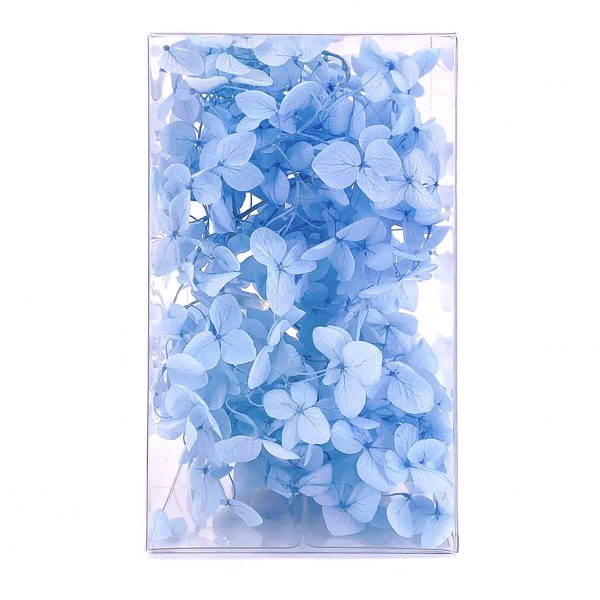 繡球花保鮮花-天藍
