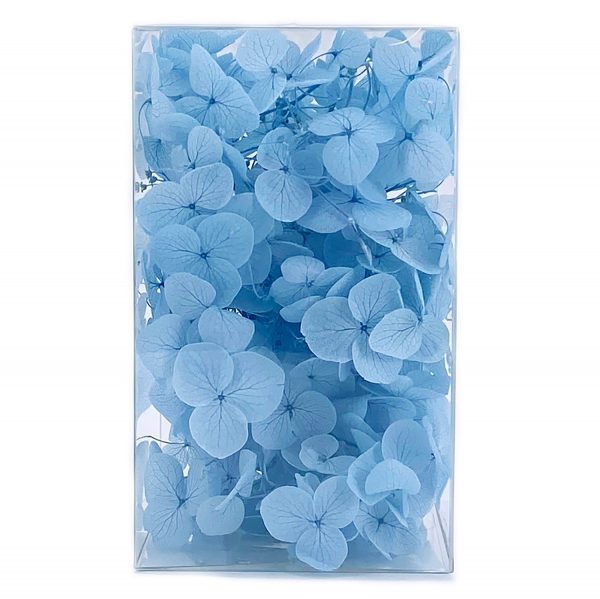 繡球花保鮮花-水藍