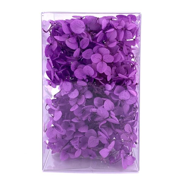 繡球花保鮮花-深紫