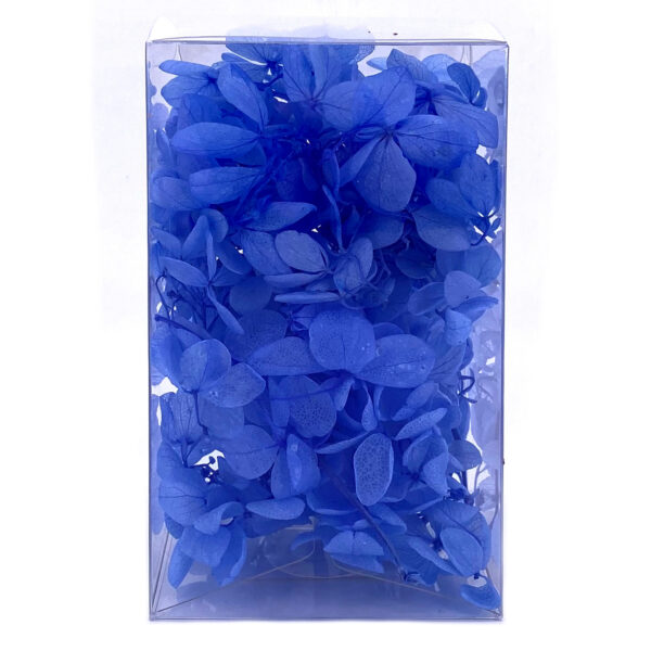 繡球花保鮮花-深藍色