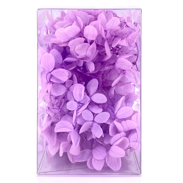 繡球花保鮮花-粉紫