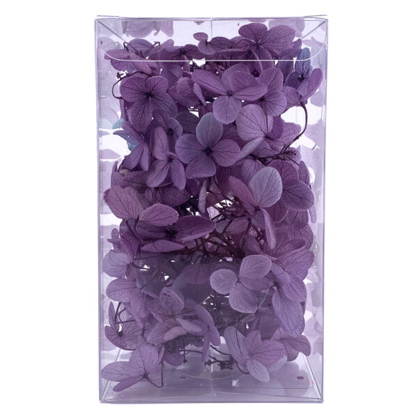 繡球花保鮮花-復古紫