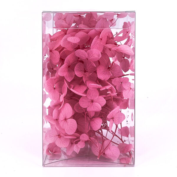 繡球花保鮮花-深粉紅