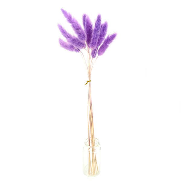 紫色鼠尾草乾花