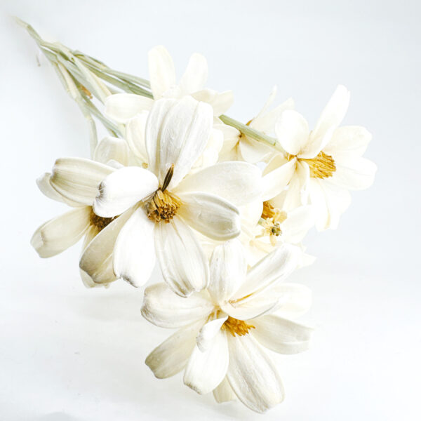 白色手工瓜子花花束