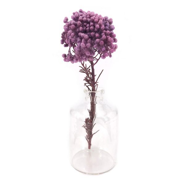 紫色小米花乾花