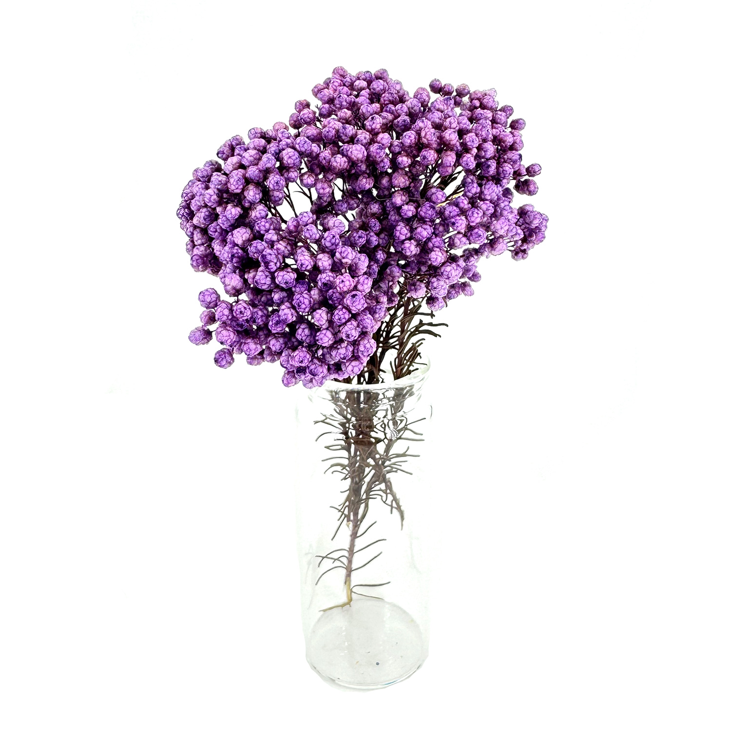紫色小米花乾花
