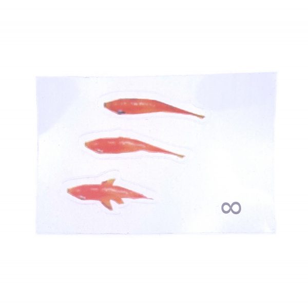 水晶滴膠貼紙-金魚8